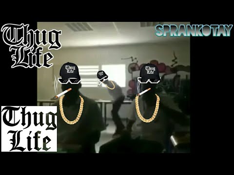 thug-life-(meme-thug-life)-story/status-wa-lucu