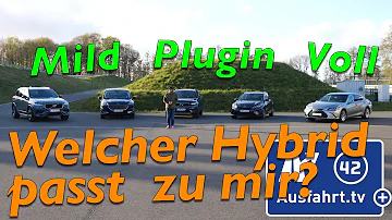 Welcher Hybrid ist der beste?