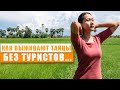 Как выживают тайцы без туристов. Родственники Бенджи. Реальный Таиланд.