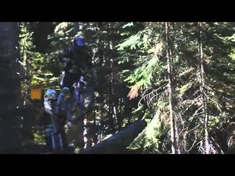 25232-pochemu-mi-lubim-downhilll-www.nevsedoma.ua-mov-video