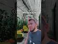 Маленькая часть офиса #бизнес #бизнесснуля #европа #инвестиции