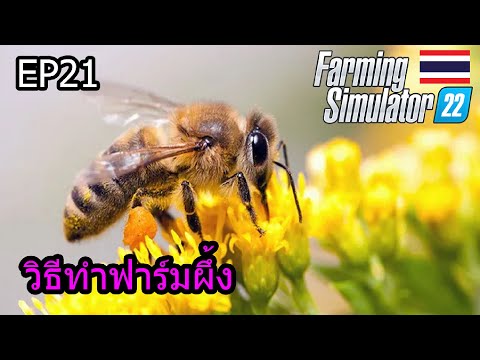 Farming Simulator 22 EP21 วิธีเลี้ยงผึ้งแบบมืออาชีพ