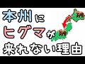 【泳げるけど不可能】本州にヒグマが来れない理由
