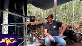 Acampado numa mata, fiz um guizado e filmei uma paca na espera de um jeito diferente