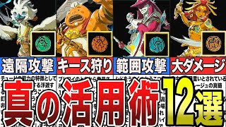 【攻略】知らないと損！ 盟約の意外な使い方12選【ゼルダの伝説ティアーズオブザキングダム/ティアキン】【ゆっくり解説】