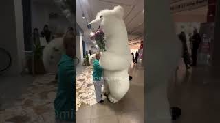 Ти неймовірна! Білий ведмідь вітає в Одесі!