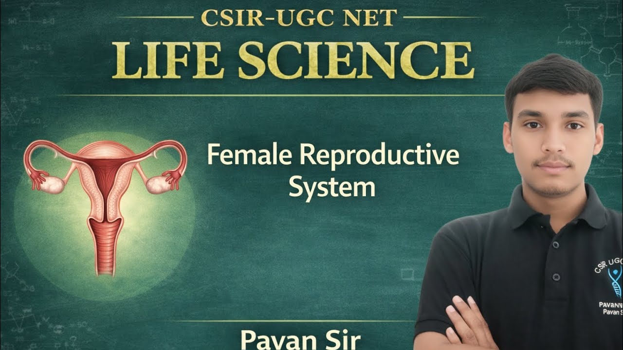 Female Reproductive System in One Shot 🔥 | CSIR-UGC NET Life Science 2026💯🔺️