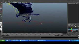 Bird Rigging