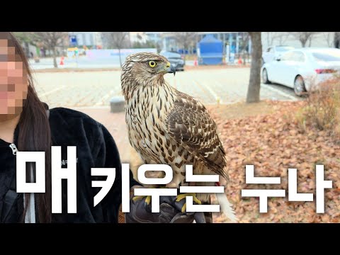 매형이랑 <strong>산책하는</strong> 누나라닠ㅋㅋㅋ