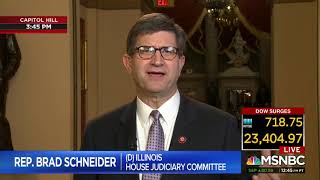Schneider Discusses House Judiciary Committee Priorities on MSNBC