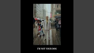Video thumbnail of "Baxter Dury - I'm Not Your Dog"