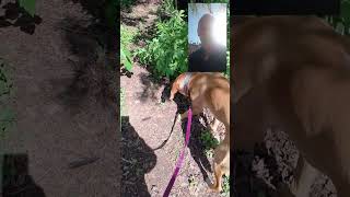 Tolle Mitglieder ♥️ Community Aufbau und Skalierung #Skool #Gamification &amp; Challenges