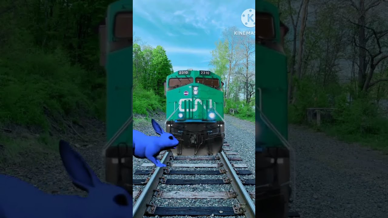 Rail Train Road Rabbit New Funny Video VFX Short