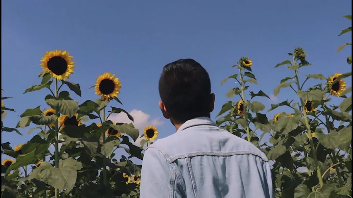 Juan Vargas - La Cancin de la Flor (Video Oficial)