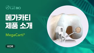 메가카티 (MegaCarti) 제품 소개