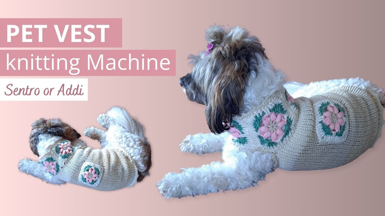 ⭐︎犬服⭐︎handmade DIY knit dog sweater on Sentro 48 pin or ADDI King Pattern with
