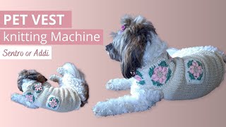 DIY knit dog sweater on Sentro 48 pin or ADDI King Pattern with