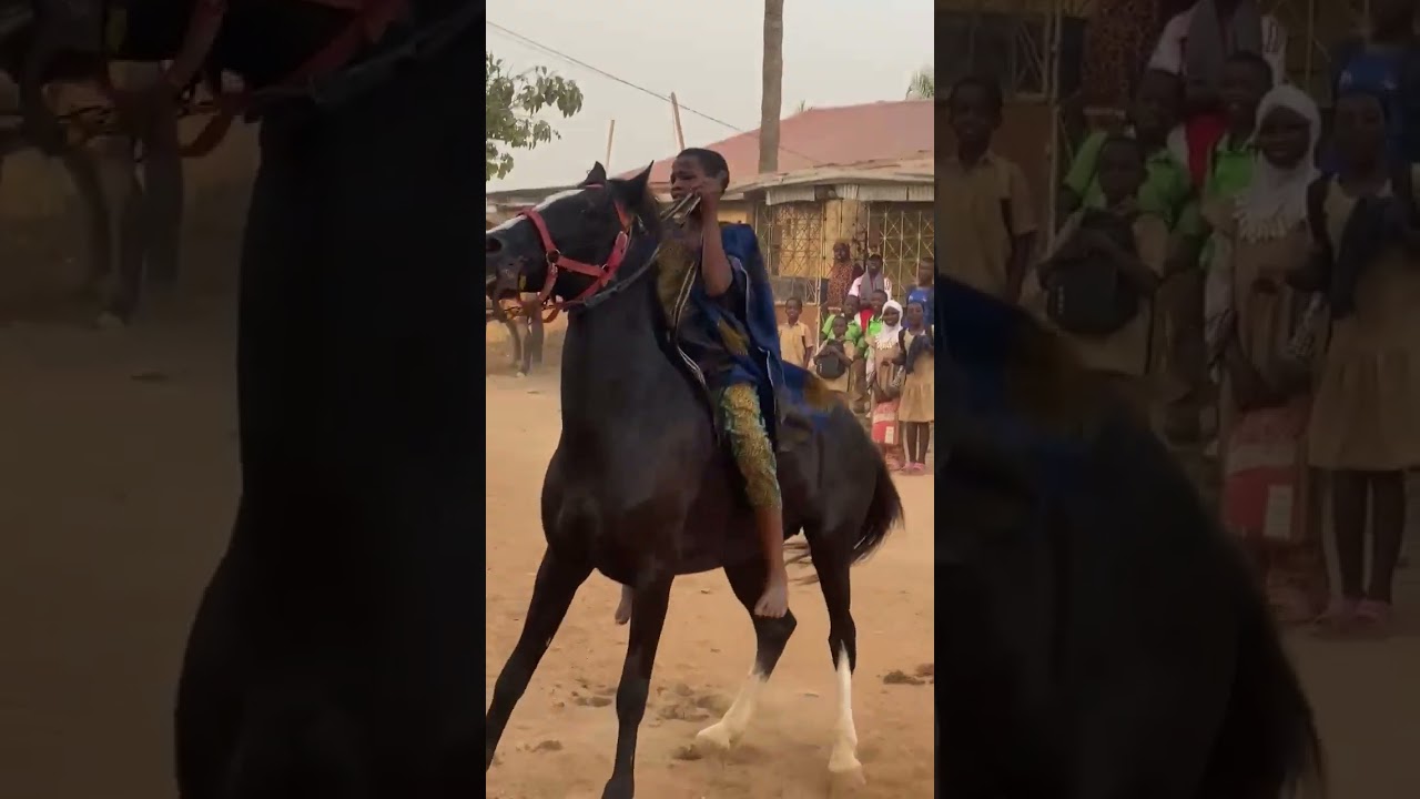Danse des chevaux avec Africa Trips