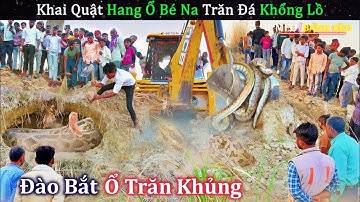 SOS Giải Cứu Khai Quật Hang Ổ Bé Na Trăn Đá Siêu To Khổng Lồ | Review Con Người Và Cuộc Sống