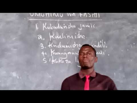 Video: Jinsi ya kuteka mbwa mwitu kwa hatua: maagizo