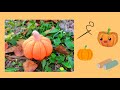 Как сшить тыкву из ткани своими руками - МАСТЕР-КЛАСС|How to sew a pumpkin with your own hands