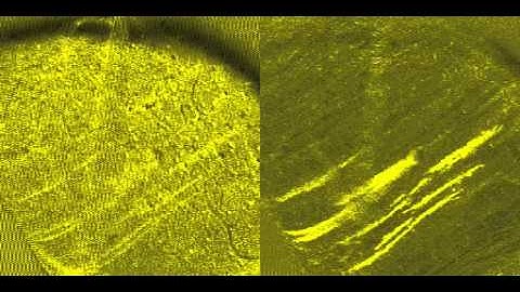 Mouse Cerebellar Purkinje Cells - ICA CellSort Demo