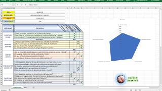 5s en Excel Diagrama de Radial