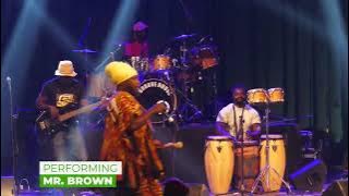 BLAKK RASTA & THE HERBALIST BAND LIVE IN ACTION - 2022