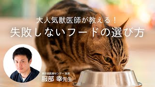 大人気獣医師が教える！失敗しないキャットフードの選び方