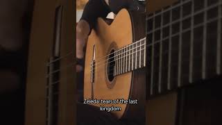 Zelda tears of the kingdom #zelda #guitarcover #fingerstyle #guitar #guitarperformance