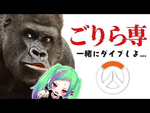 【ゴリラ専OW2】徹夜明けにウォッチポイントジブラルタルに帰宅するまで終われないウィンストンするオーバーウォッチ２【※暴言注意】