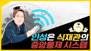 인성은 식재관(食財官)의 중앙통제시스템!