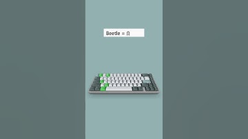 Beetle 𓆣 | Unicode Shortcut Key (Code 131A3) | #computer #Symbol #typing #keyboard #tricks