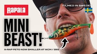 NEW SIZE! X-Rap® Peto, The Mini Beast | Rapala®