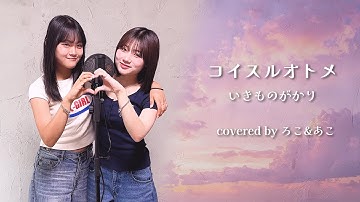 【歌ってみた】コイスルオトメ / いきものがかり【ろこ×あこ】
