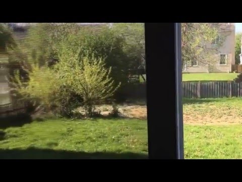 20835 W Barrington Ct, Plainfield, IL home video tour