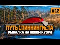 Русская Рыбалка 4 — Знакомство с обновленным озером Куори. Аккаунт спиннингиста #12