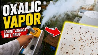 Count Mite Drop with Oxalic Acid Vapor