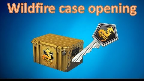 CS:GO New Wildfire Case opening