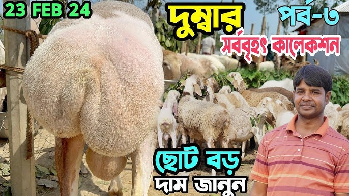 Bir mast bilan porno onalar