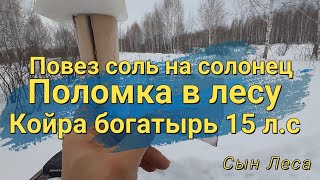 Повез соль на солонец Поломка в лесу Койра богатырь 15л.с