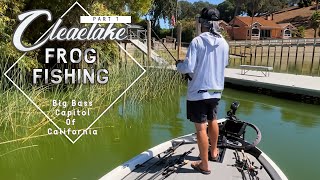 Thick Cover And Big Bass | Clearlake Frog Fishing | Frogs Only