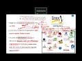 CISCO CYBEROPS - Module 4 Partie 1
