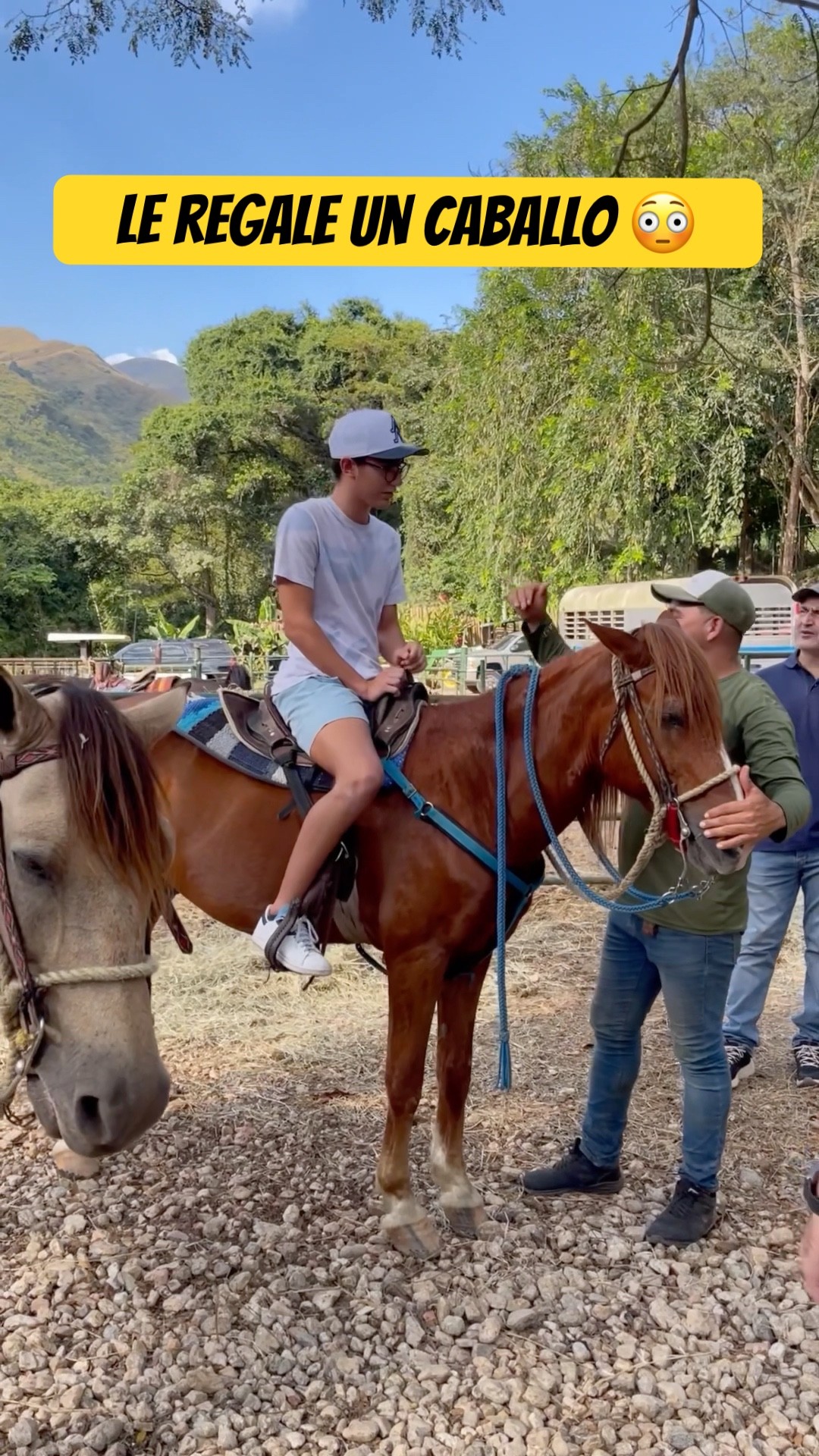 Le REGALE un CABALLO ?