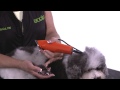 How To Use Attachment Combs - How to Groom Dogs with Andis