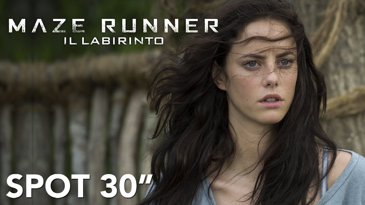 Maze Runner - Il Labirinto : Movies & TV 