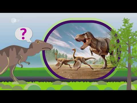 Video: Könnten Dinosaurier heute überleben?