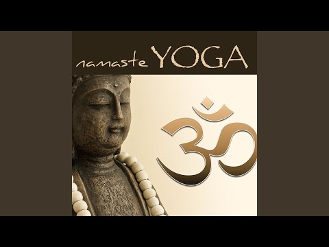 Namaste Yoga