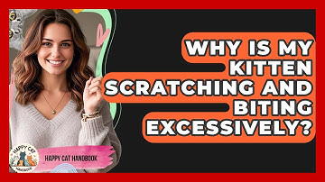 Why Is My Kitten Scratching And Biting Excessively? - Happy Cat Handbook