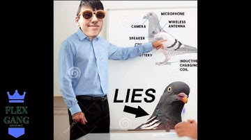 Lil Tax Fraud "Birds Aren’t Real" (Flex Gang Exclusive - Official Audio)